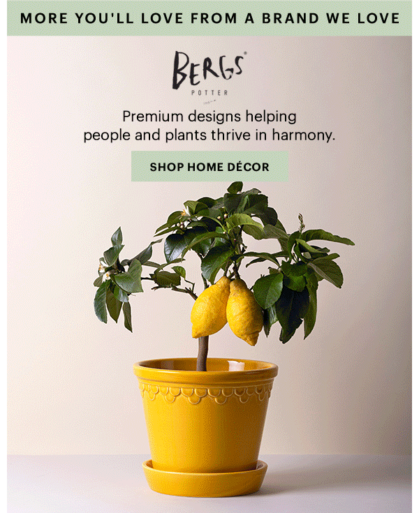 MORE YOU'LL LOVE FROM A BRAND WE LOVE  BERGS POTTER  Premium designs helping people and plants thrive in harmony.  [SHOP HOME DECOR]