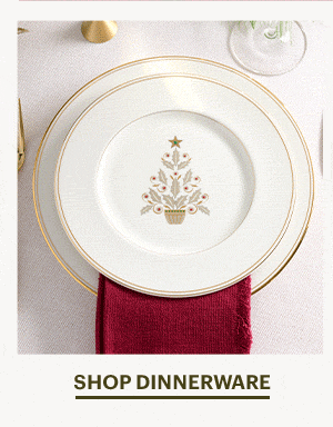 SHOP DINNERWARE