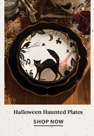 Halloween Haunted Plates  SHOP NOW
