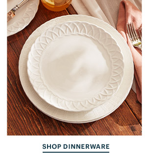 SHOP DINNERWARE