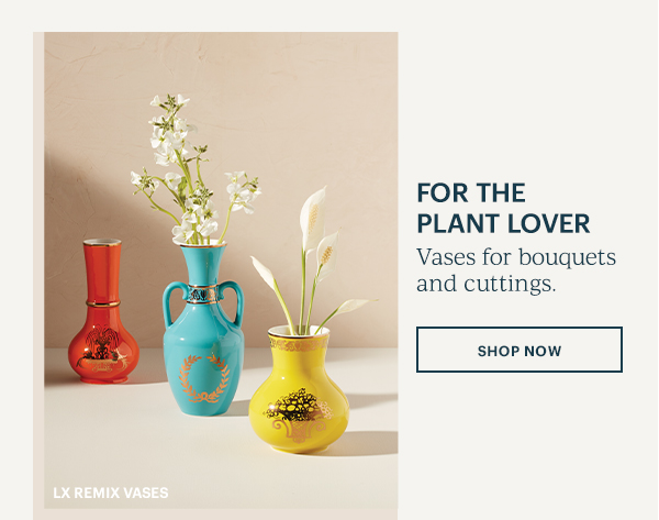 FOR THE PLANT LOVER. Vases for Bouquets and Cuttings. 