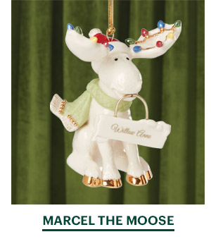 MARCEL THE MOOSE