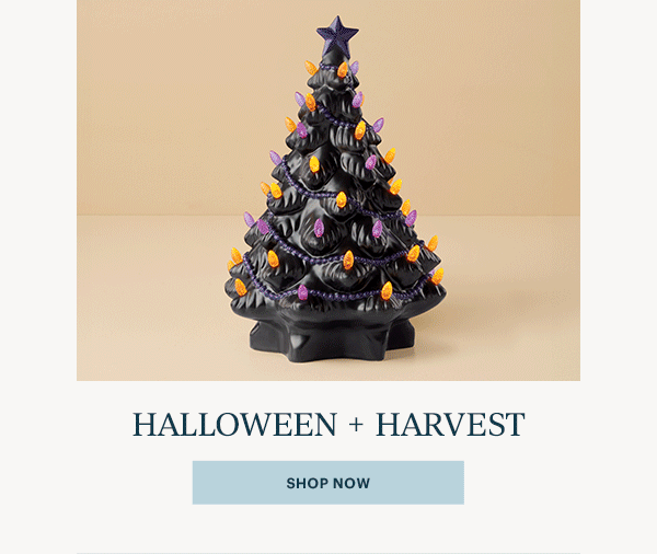 HALLOWEEN + HARVEST  [SHOP NOW]