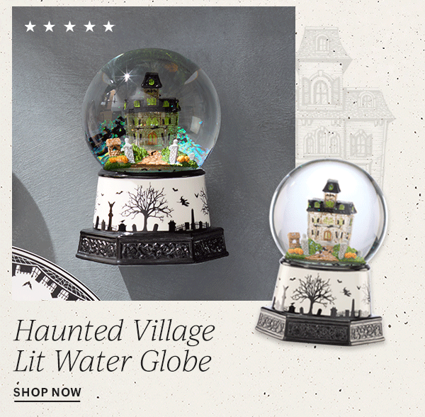 Haunted Village Lit Water Globe  SHOP NOW