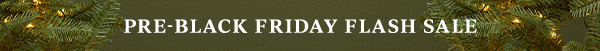 PRE-BLACK FRIDAY FLASH SALE