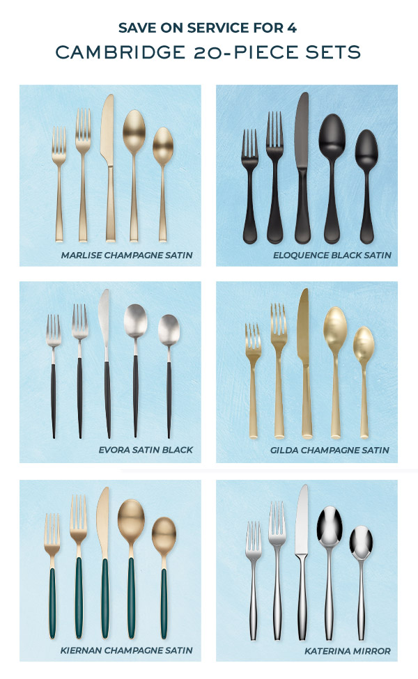 SAVE ON SERVICE FOR 4  CAMBRIDGE 20-PIECE SETS