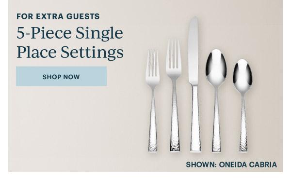 FOR EXTRA GUESTS  5-Piece Single Place Settings  [SHOP NOW]  SHOWN: ONEIDA CABRIA