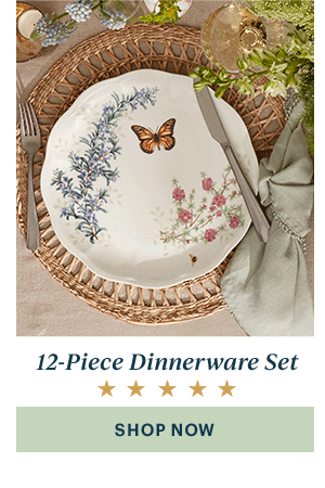 12-Piece Dinnerware Set  [SHOP NOW]