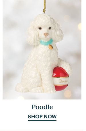 Poodle  SHOP NOW