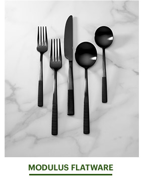 MODULUS FLATWARE