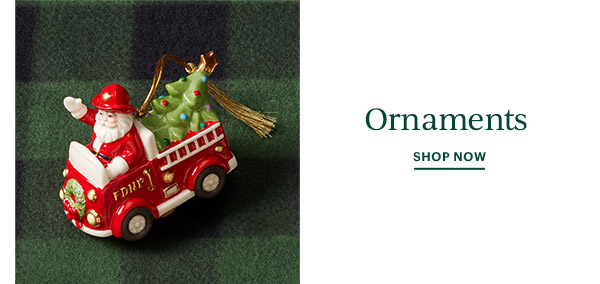 Ornaments  SHOP NOW