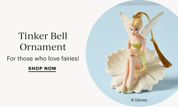 Tinker Bell Ornament  For those who love fairies!  SHOP NOW