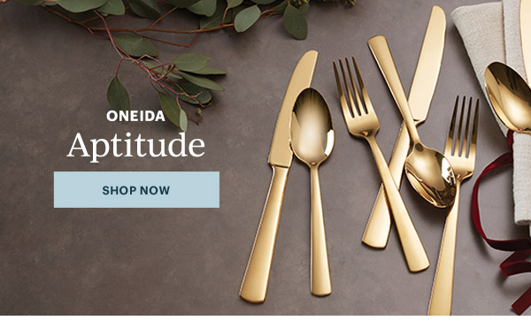 ONEIDA  Aptitude  [SHOP NOW]