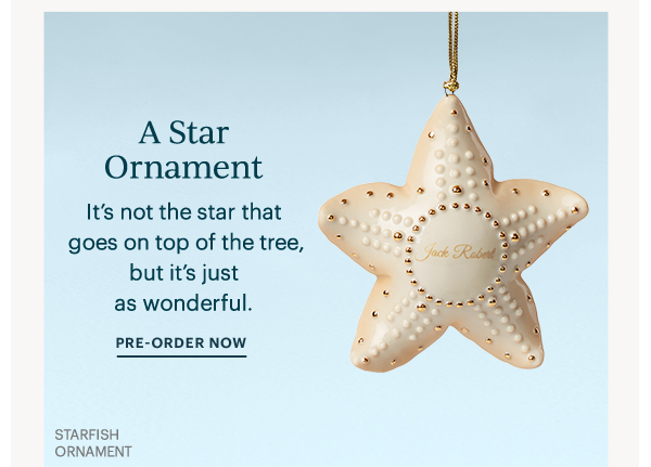 A Star Ornament: It's not the star that goes on top of the tree, but it's just as wonderful. PRE-ORDER NOW