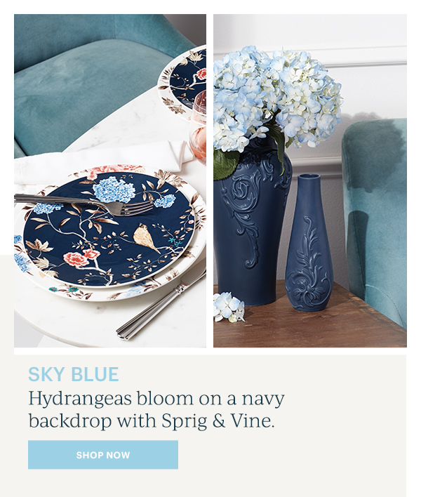 Sky Blue: Hydrangeas bllom on a navy backdrop with Sprig & Vine. SHOP NOW