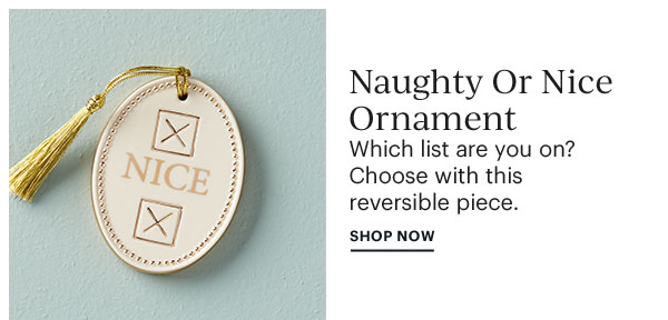 Naughty Or Nice Ornament  SHOP NOW