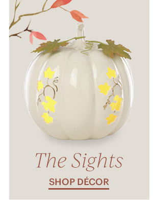 The Sights  SHOP DECOR