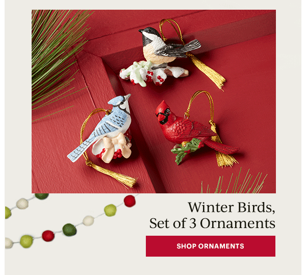 Winter Birds, Set of 3 Ornaments  [SHOP ORNAMENTS]