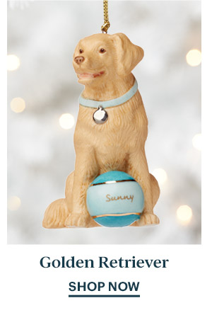 Golden Retriever  SHOP NOW