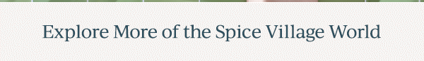 Explore More of the Spice Village World