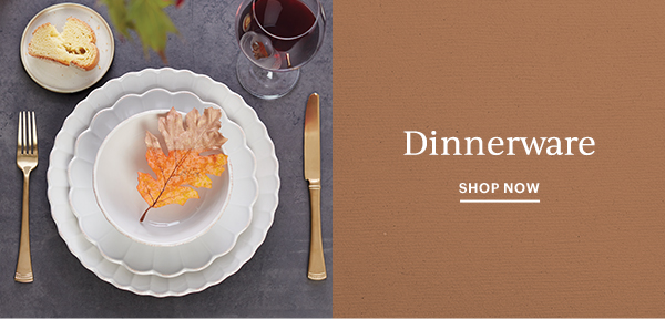 Dinnerware  SHOP NOW
