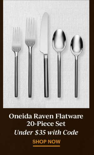 Oneida Raven Flatware 20-Piece Set  Under $35 with Code  SHOP NOW