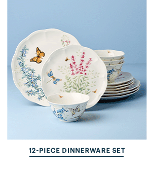 12-PIECE DINNERWARE SET