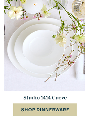 Studio 1414 Curve  [SHOP DINNERWARE]