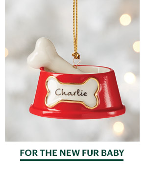 FOR THE NEW FUR BABY