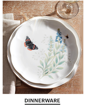 Dinnerware SHOP NOW