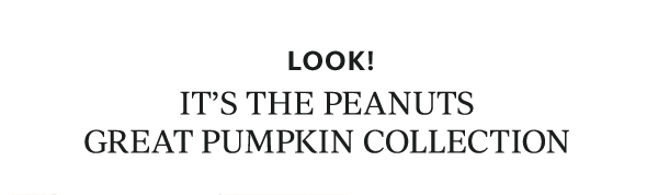LOOK!  IT'S THE PEANUTS GREAT PUMPKIN COLLECTION