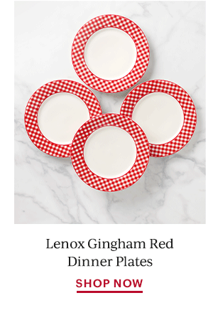 Lenox Gingham Red Dinner Plates  SHOP NOW