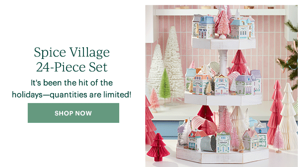 Spice Village 24-Piece Set  It's been the hit of the holidays—quantities are limited!  [SHOP NOW]