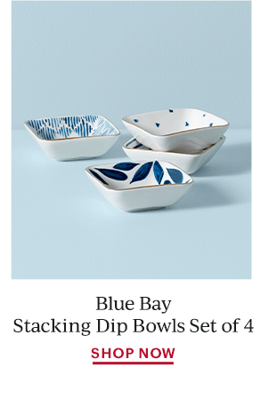 Blue Bay Stacking Dip Bowls Set of 4  SHOP NOW