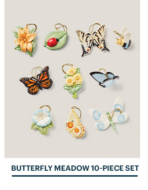 BUTTERFLY MEADOW 10-PIECE SET