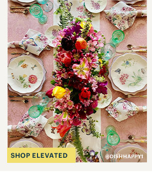 SHOP ELEVATED