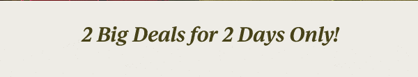 2 Big Deals for 2 Days Only!