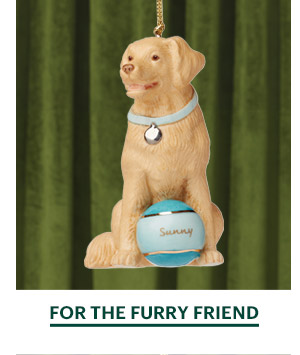 FOR THE FURRY FRIEND