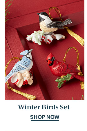 Winter Birds Set  SHOP NOW