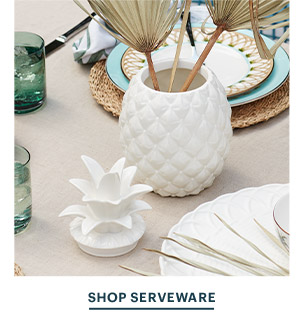 SHOP SERVEWARE