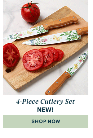 4-Piece Cutlery Set  NEW!  [SHOP NOW]