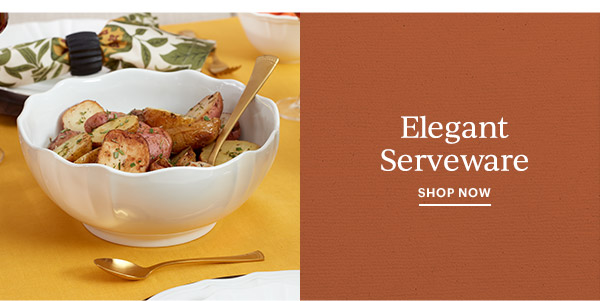 Elegant Serveware  SHOP NOW