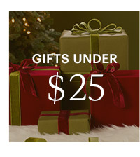 GIFTS UNDER $25