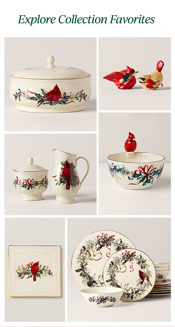 Explore Collection Favorites