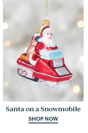 Santa on a Snowmobile  SHOP NOW