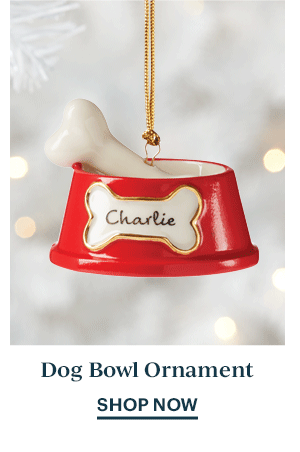 Dog Bowl Ornament  SHOP NOW