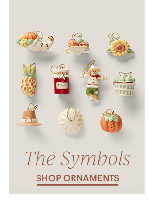 The Symbols  SHOP ORNAMENTS