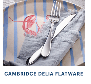 CAMBRIDGE DELIA FLATWARE