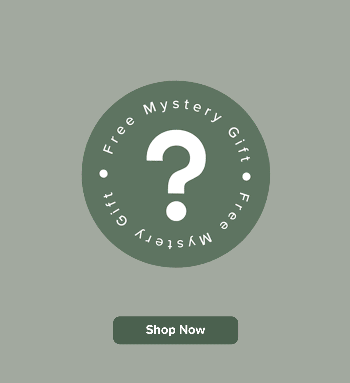 Unexpected ways to save water this summer 🚰 Hoselink