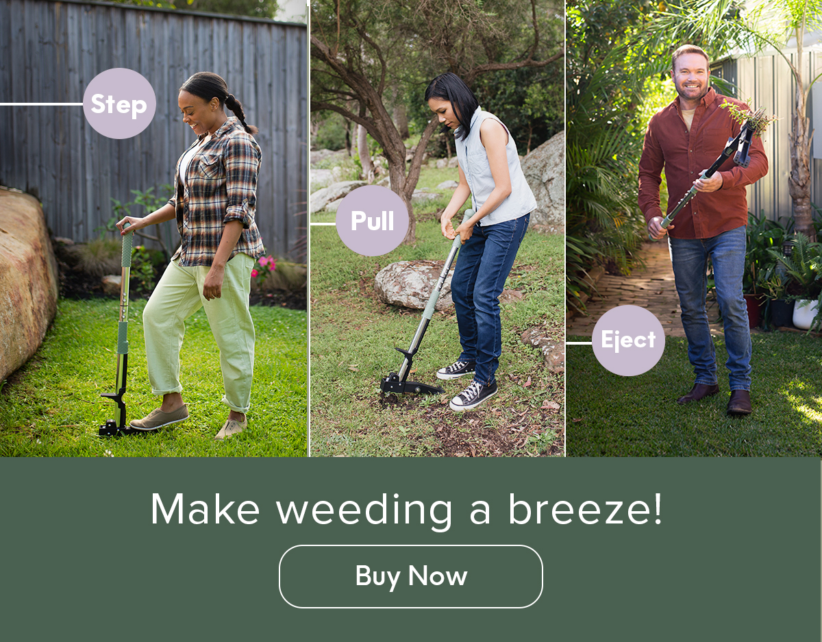 How to Identify & Control Weeds 🙃 Hoselink